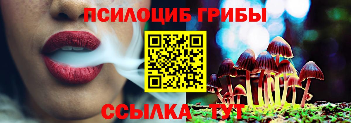 Псилоцибиновые грибы Magic Shrooms Петровск